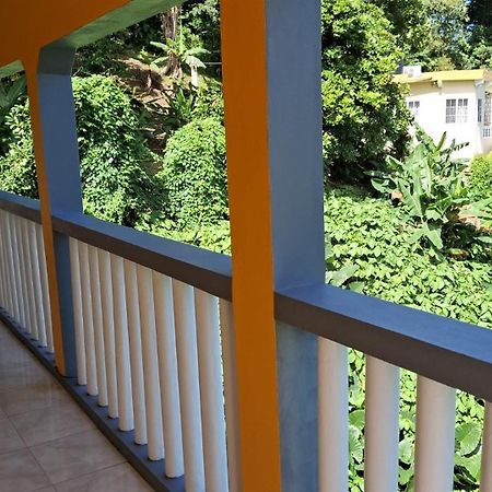 Viva Violas Port Antonio Kültér fotó