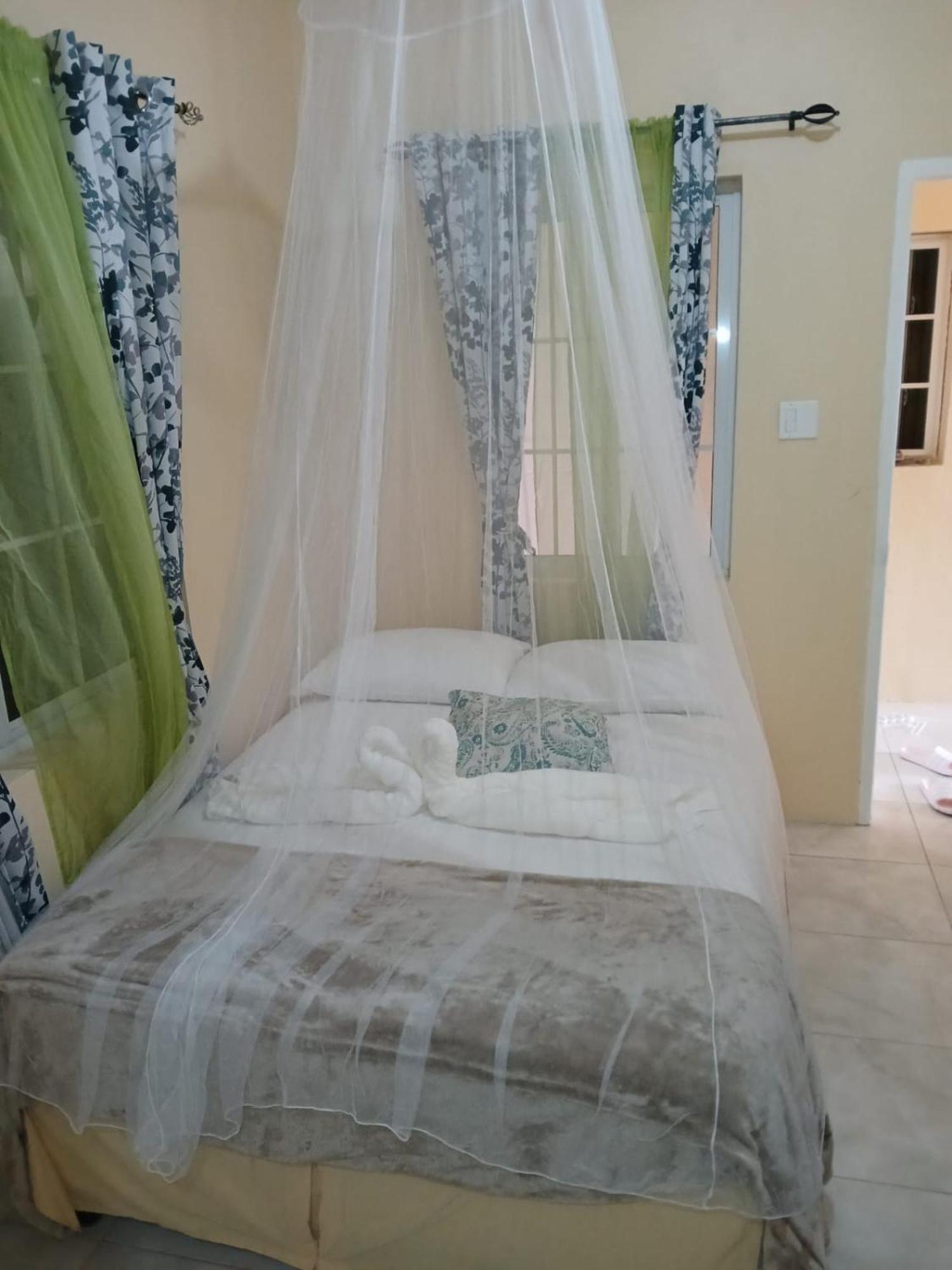 Viva Violas Port Antonio Kültér fotó