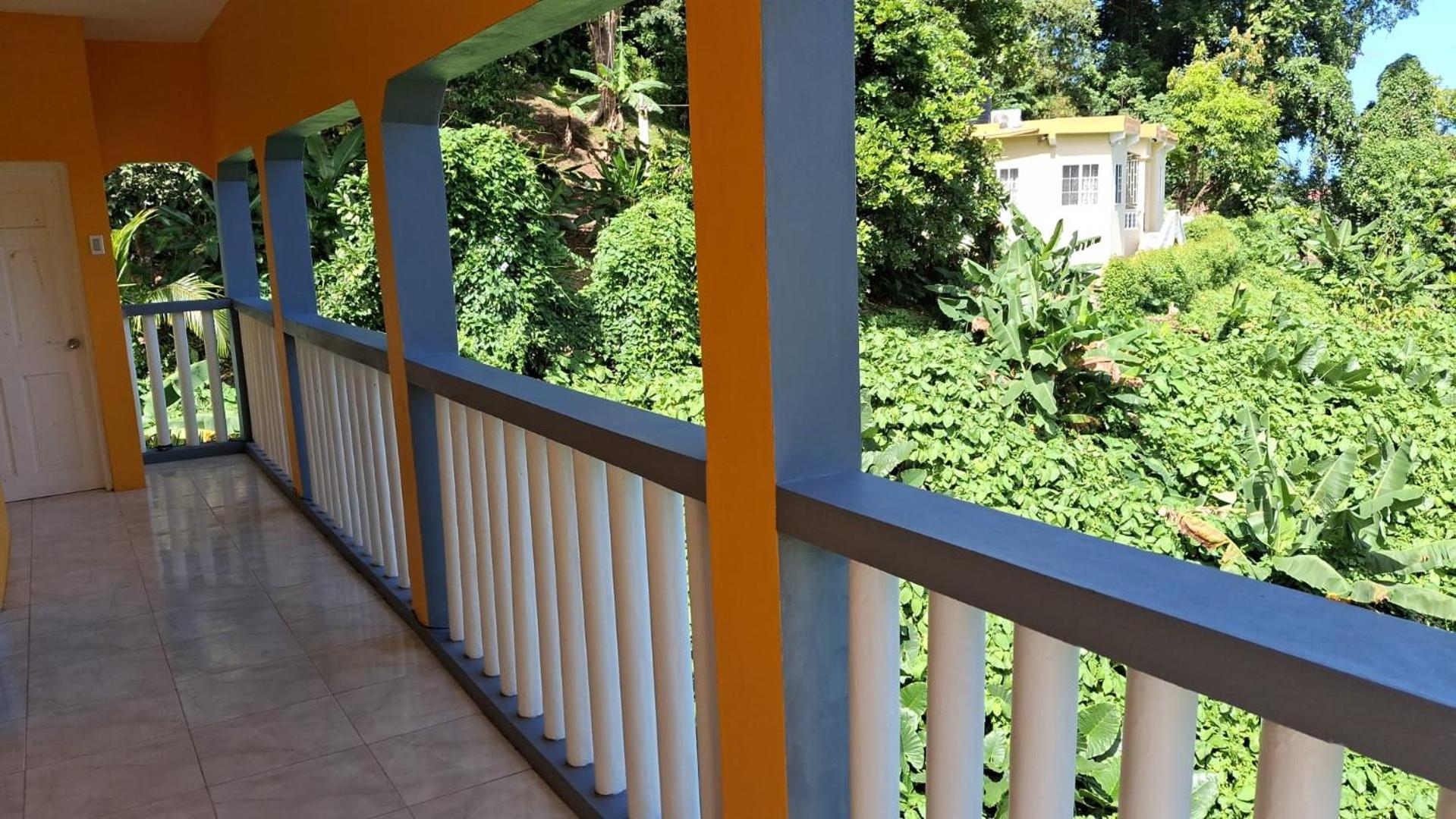 Viva Violas Port Antonio Kültér fotó
