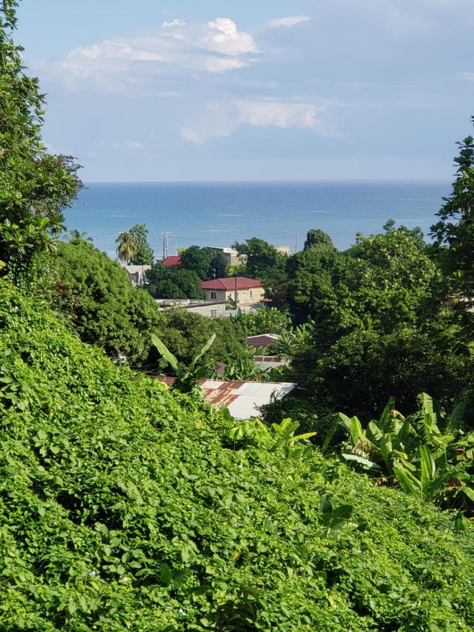 Viva Violas Port Antonio Kültér fotó