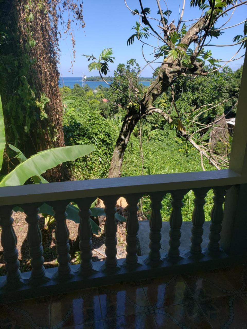 Viva Violas Port Antonio Kültér fotó