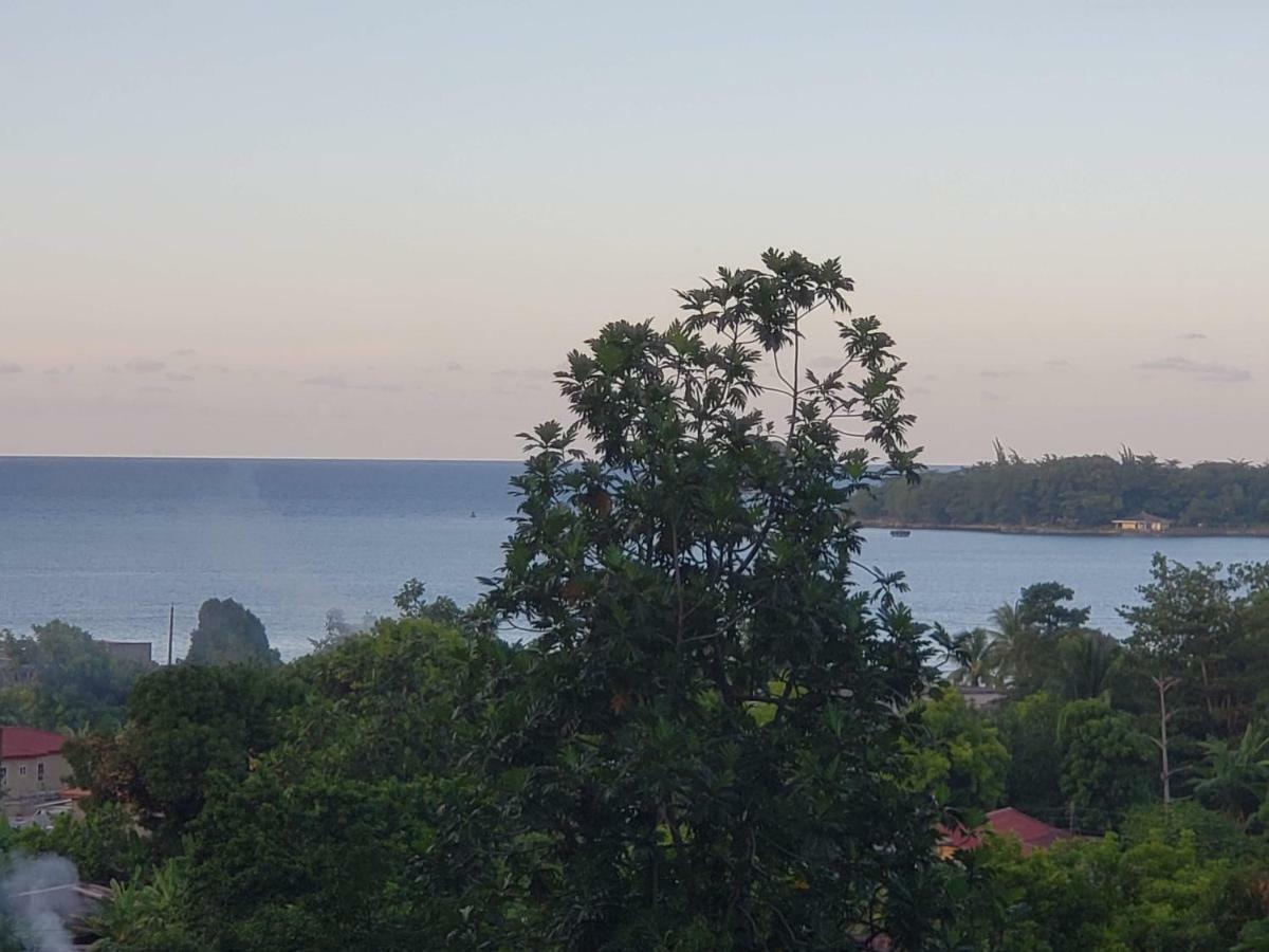 Viva Violas Port Antonio Kültér fotó