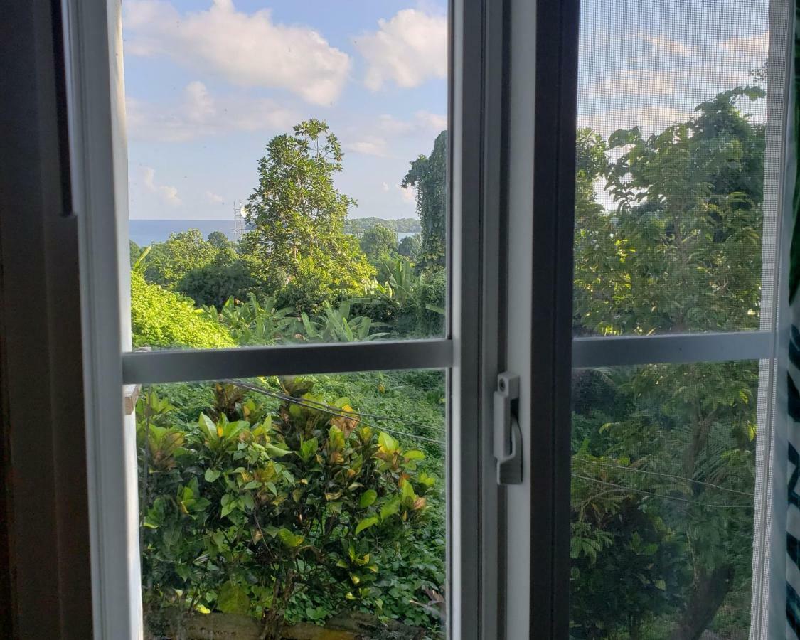 Viva Violas Port Antonio Kültér fotó