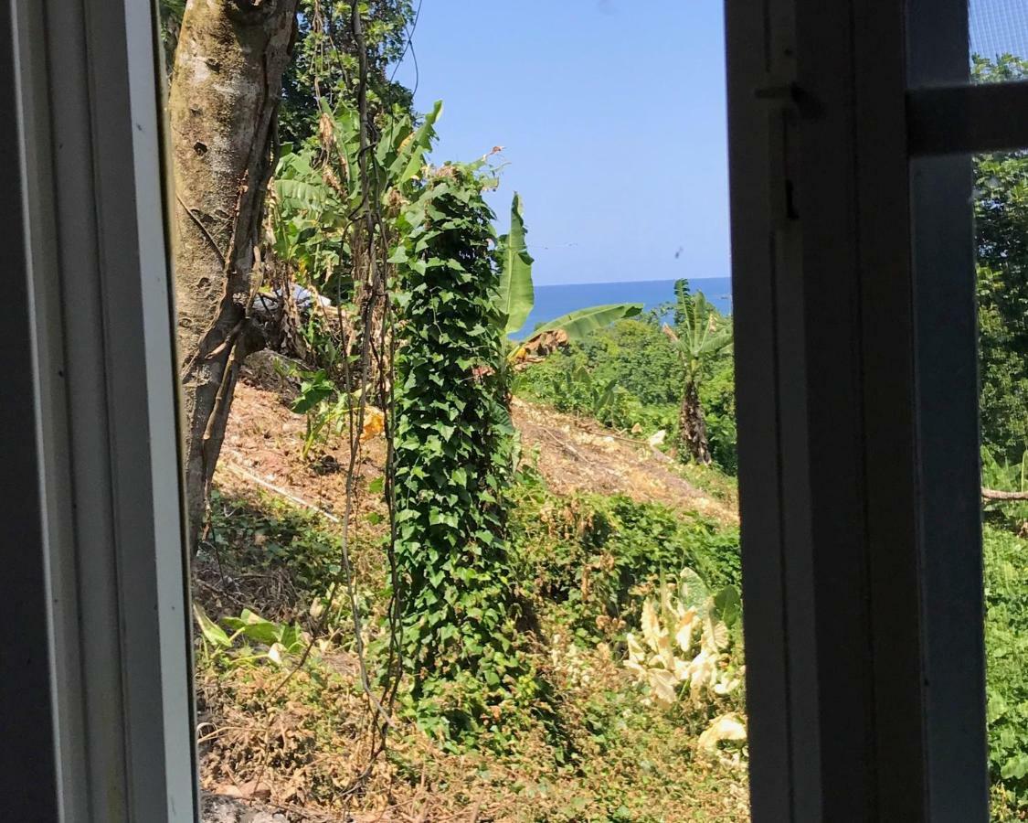 Viva Violas Port Antonio Kültér fotó